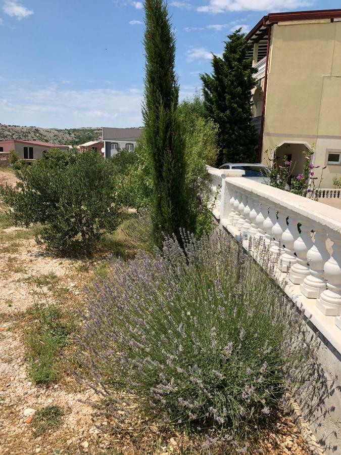 Apartmani Gabi Cesarica Zewnętrze zdjęcie