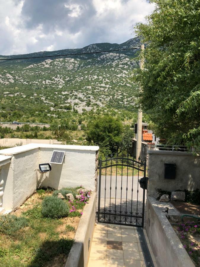 Apartmani Gabi Cesarica Zewnętrze zdjęcie