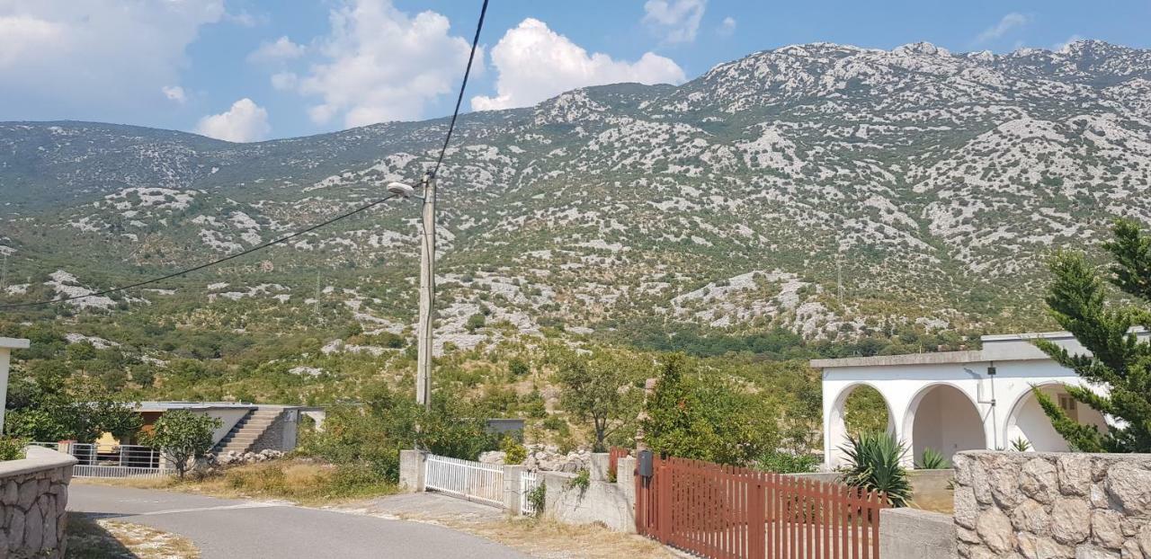 Apartmani Gabi Cesarica Zewnętrze zdjęcie